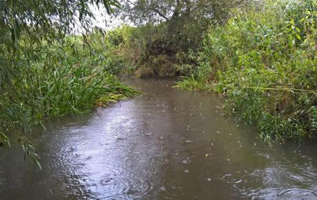 Willow Beck Junction